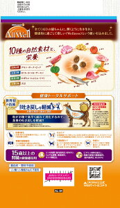 �y0�̓�����15��OFF�N�[�|���z�z���zAW10��15�ΐt���T�[�����c�i1�D2kg�y�ܖ����� 20270331�z