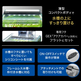 【スーパーセール15%OFFクーポン配布中】クリアLEDフラッティパワー150BK【賞味期限 】