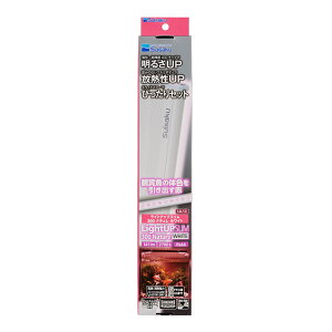 �y0�̂���10��OFF�N�[�|���z�z���z���C�g�A�b�vSLIM300�i�`�����z���C�g