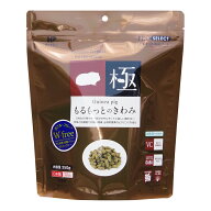 【マラソンクーポン配布中】専門店用もるもっとのきわみ【賞味期限 2028-01-31】