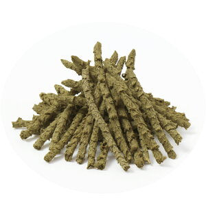 yubNtCf[15%OFFN[|zzzXI[cwĈ360gyܖ 20270430z