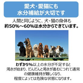 【スーパーセール20%OFFクーポン配布中】ペットスエットポーションプチ【賞味期限 2027-10-10】
