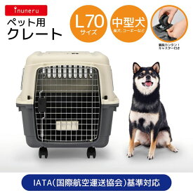 【5のつく日10%OFFクーポン配布中】EC販売用inuneru　クレート
