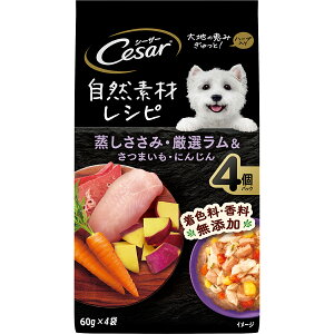 yubNtCf[15%OFFN[|zzzV[U[@RfރVs@݁EI܂Eɂ񂶂yܖ 20270826z