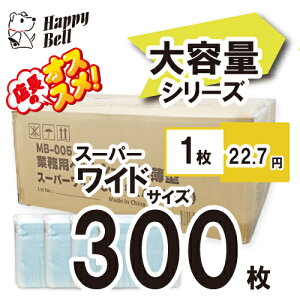 yX[p[Z[15%OFFN[|zzzƖpybgV[c^X[p[Ch 300