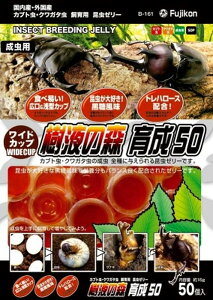 【マラソン10%OFFクーポン】ワイドカップ 樹液の森 育成 50個【賞味期限 20281130】