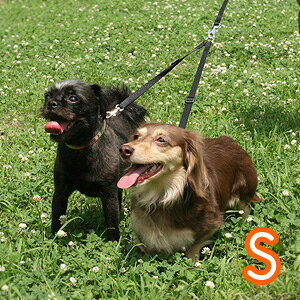 y}\10%OFFN[|zt@^W[cC[h