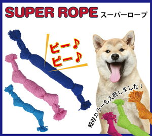 yubNtCf[15%OFFN[|zzzX[p[[vL@lCr[