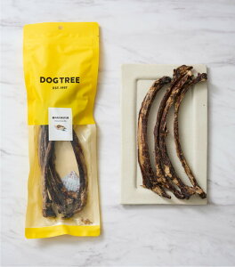 ynbs[xz̓t΂獜 O 80gyܖ 20260905z