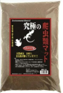 y5̓ 10%OFFN[|zzzɂ঒ރ}bg ז 4L