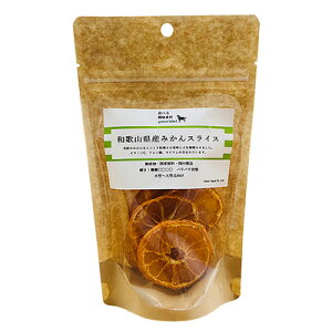 y}\10%OFFN[|zHׂ錒Nf hCt[c a̎R ݂ XCX 20gyܖ 20270131z