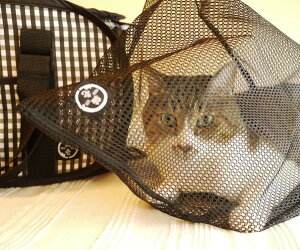 【マラソン10%OFFクーポン】おちつく ネット