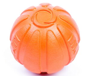 y}\10%OFFN[|zLIKER9@𗸂ɂ閂@̃{[iE^pj