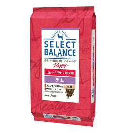【マラソン10%OFFクーポン】セレクトバランス パピー ラム 小粒 子犬・母犬用 7kg【賞味期限 20260531】