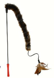 ynbs[xzLeB[eB[U[@e[tFU[