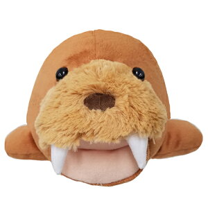 ynbs[xz47180@nhpybg@ZCE`