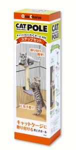 yX[p[Z[15%OFFN[|zzzLbg 킭킭|[ 400XebvZbg