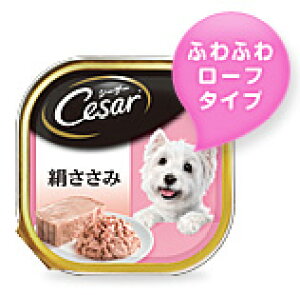 yX[p[Z[15%OFFN[|zzzV[U[  100gyܖ 20270917z