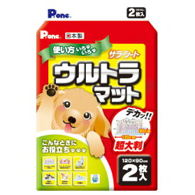 【スーパーセール20%OFFクーポン配布中】サラ・シート　ウルトラ2P