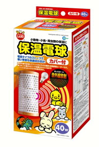 yX[p[Z[15%OFFN[|zzzۉd Jo[t 40W