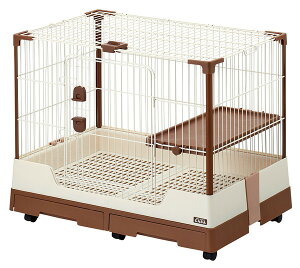 y}\10%OFFN[|zZNgP[W Rabbit 80