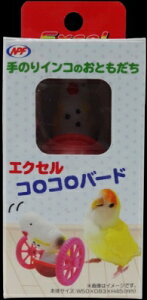 y5̓ 10%OFFN[|zzzGNZ@RRo[h