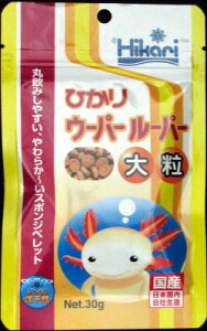 y}\10%OFFN[|zHikari E[p[[p[ 嗱 30gyܖ 20280501z