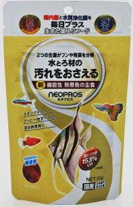 ynbs[xzHikari lIvX 10gyܖ 20270731z