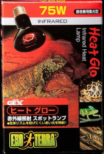 ynbs[xzq[gO[ ԊOƎ˃X|bgv 75W PT2142