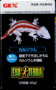 yX[p[Z[15%OFFN[|zzzJVE 40gyܖ 20280831z