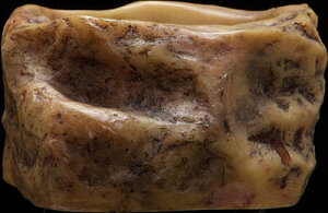 y}\10%OFFN[|zEH[^[ fBbV eTCY iXS PT2809j