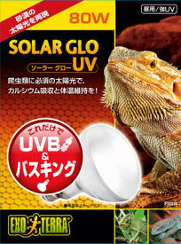 【マラソン15%OFFクーポン配布中】ソーラーグロー UV 80W/125W （80W PT2334） 爬虫類 両生類