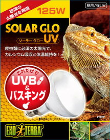 【マラソン15%OFFクーポン配布中】ソーラーグロー UV 125W PT2192 爬虫類 両生類