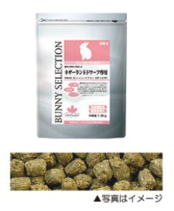 yubNtCf[15%OFFN[|zzzoj[ ZNV lU[hh[tp 1.3kg