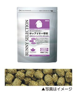 ynbs[xzoj[ ZNV bvC[p 1.3kgyܖ 20271031z