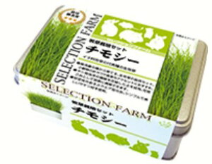 y}\10%OFFN[|zZNVt@[ q ͔|Zbg `V[yܖ 20260531z