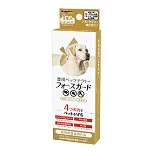 y}\10%OFFN[|zp ybceNg+ tH[XK[h ^p 1P