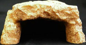 y}\10%OFFN[|zbNVF^[SP eTCY iSSj