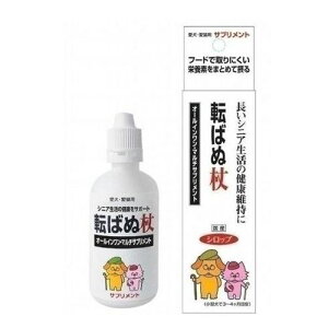 y}\10%OFFN[|z]΂ʏ@Lpyܖ 20280131z