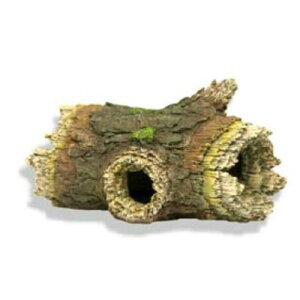 y}\10%OFFN[|zaquaneru@ANAEI[ig@BƁ@ۑ