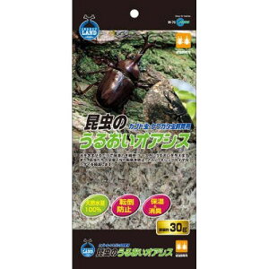 y}\10%OFFN[|zM]78@̂邨IAVX