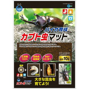 ynbs[xzM]703@oCI琬Jug}bg10L