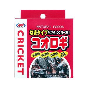 y}\10%OFFN[|zRIMyܖ 20280425z