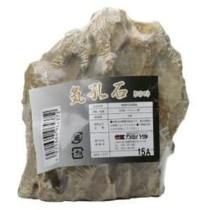 y}\10%OFFN[|zANAEbN@CE