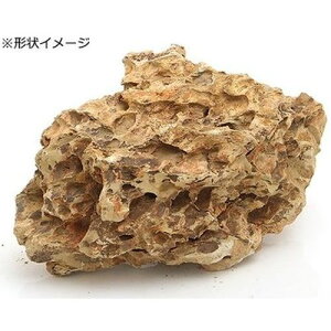 y}\10%OFFN[|zANAEbN@CE΁@