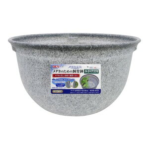 y}\10%OFFN[|z_JC_Ĵ߂̎甫݂370