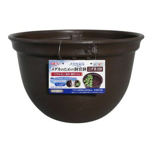 y}\10%OFFN[|z_JC_Ĵ߂̎甫320