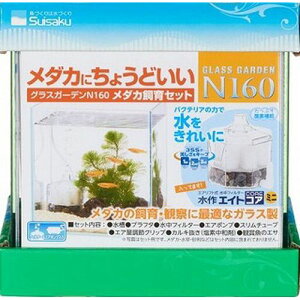 y}\10%OFFN[|zOXK[fN160_JZbg