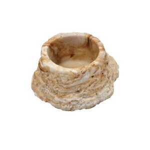 y}\10%OFFN[|zveB{E2@mini