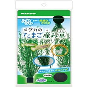 y}\10%OFFN[|z_Ĵ܂Yݑ